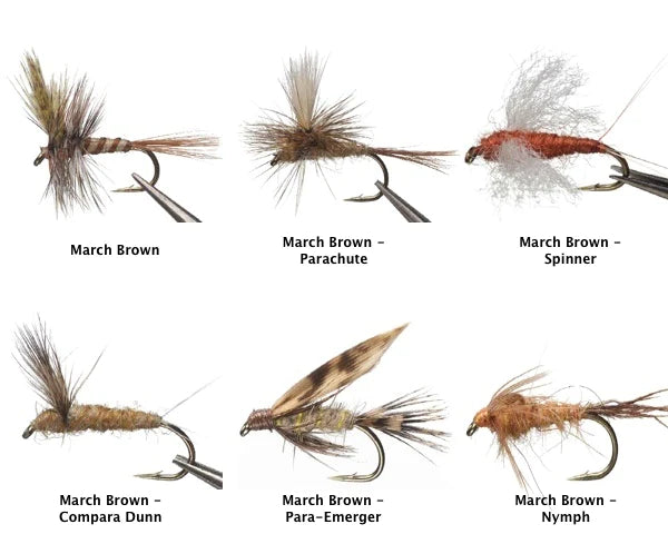 Umpqua Striped Bass Fly Selections