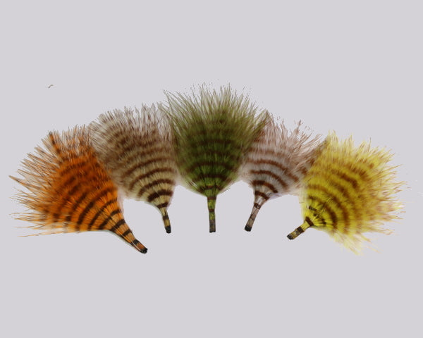 Buggerbou Fine Barred - 2