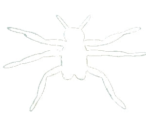 Wiggle Stone Body - Pearl White