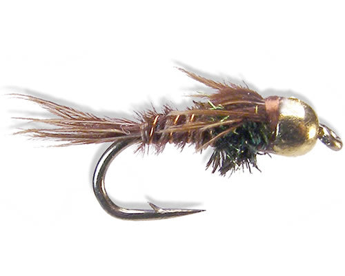 Tung Pheasant Tail
#12-20