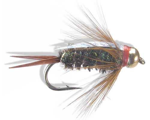 The Fly Formerly Known as Prince
#12-20