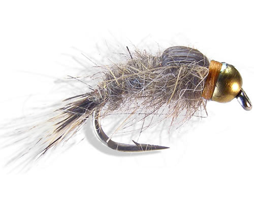 BH C-N Hare's Ear
#10-18