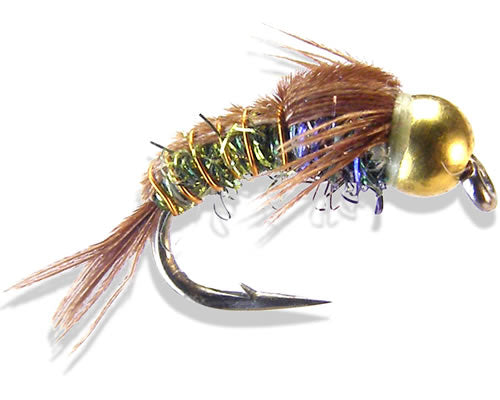 Kyle's BH C-N Superflash - Olive
#14-22