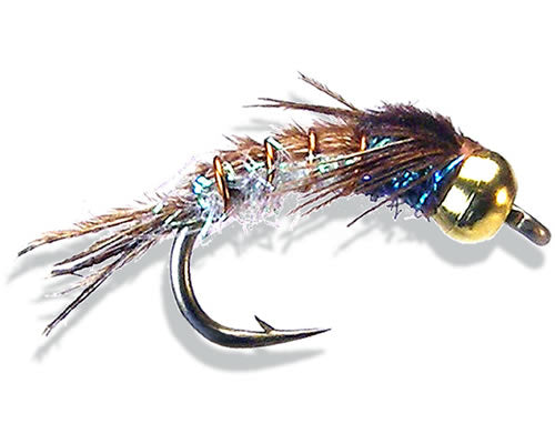 Kyle's BH C-N Superflash PT
#10-20
