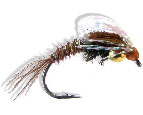 Trina's Bubble Back Emerger
#12-20
