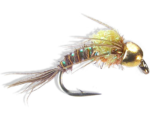 Trina's PMD AngelCase Emerger
#14-20