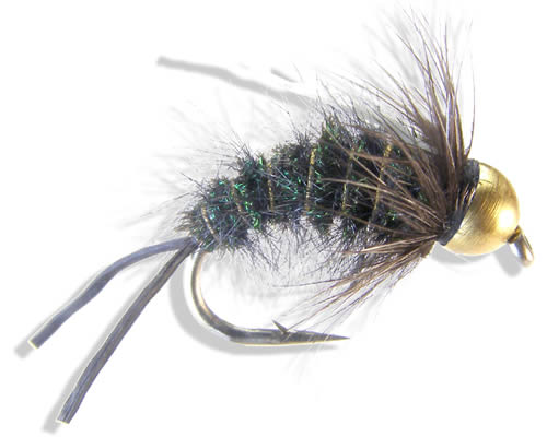 BH C-N FsWtr Prince-Black
#8
