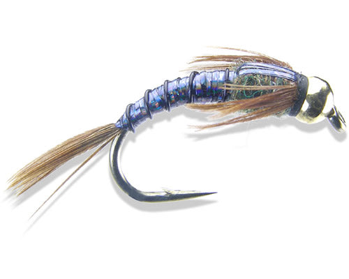 Tung Black Lightning Bug CN
#6 and 8