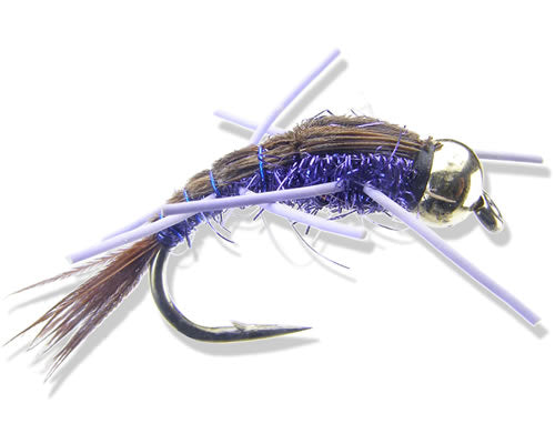 Kyle's RL Superflash Purple
#6