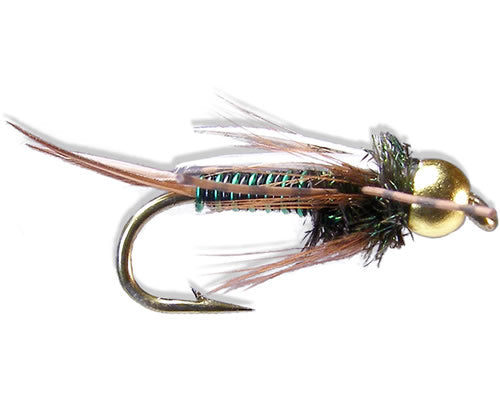 Montana Prince - Olive
#10-16