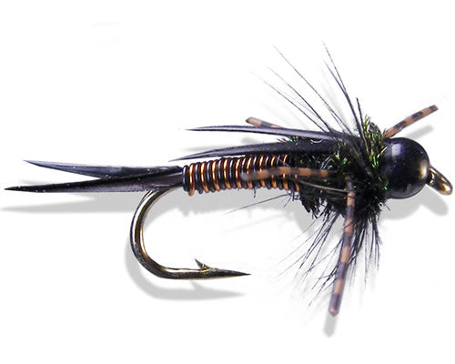 Montana Prince - Black
#10-16