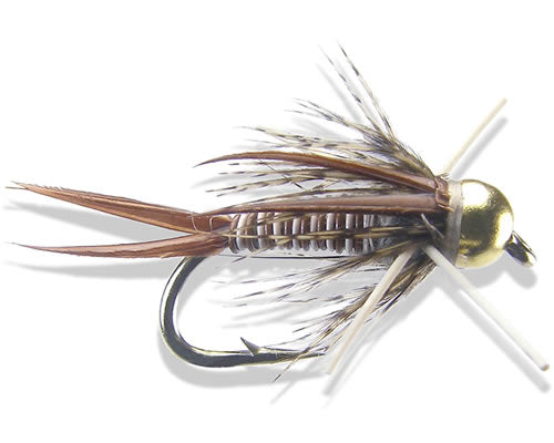 Montana Prince - Tan
#10-16