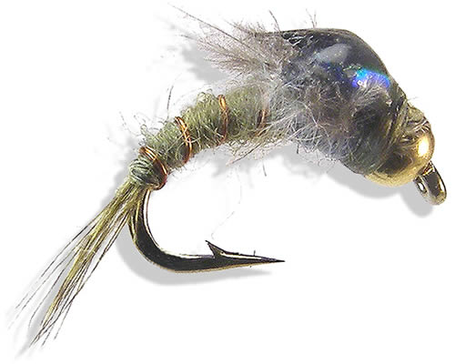 Downey's Master - Baetis
#16-20