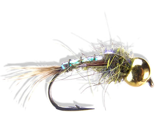 Davies' Evil Weevil - Olive.
#14-18