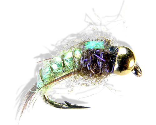 Davies' Evil Weevil Ice
#14-18