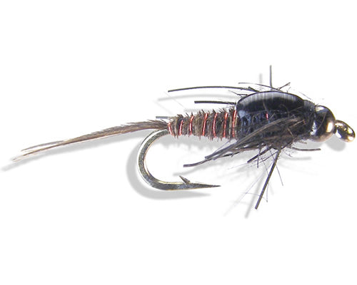 Hill's Nympho-Maniac - Black
#14-18
