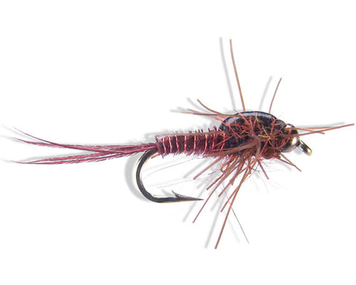 Hill's Nympho-Maniac - Red
#14-18