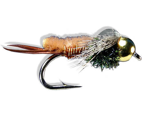 Copper Pupa
#14-16