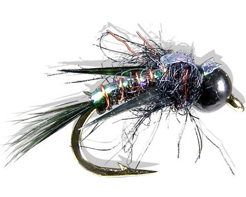 Davies' Black Widow Weevil
#14-20