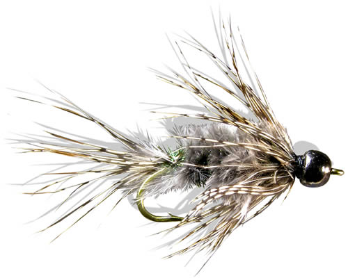 Evenson's Demon Seed
#12