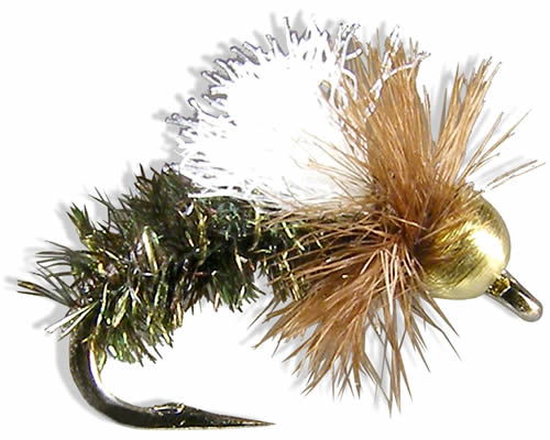 Wiese's Hula Princess
#12-14