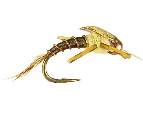 Dunnigan's PMD Emerger #14-18