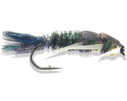 D.B. Stone Peacock