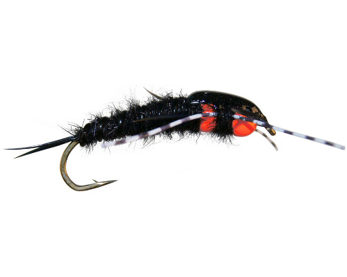 Hot DB Steelhead Stone-Back in Black