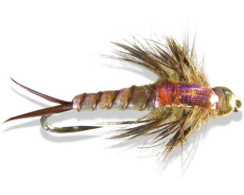 Davies' Explosion Stone - Golden
#8-12