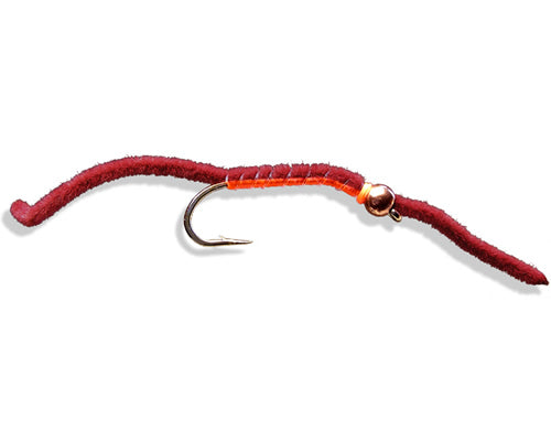 BH Sven Juan Worm
#8-12