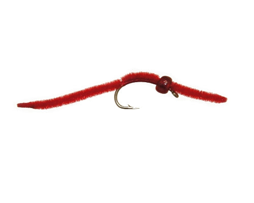 Louthan's Alpine Worm - Red