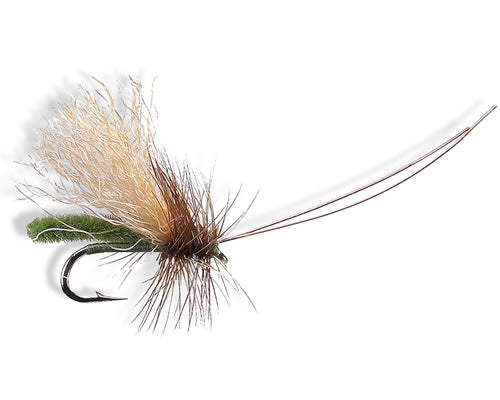 Slickwater Caddis - Olive
#14