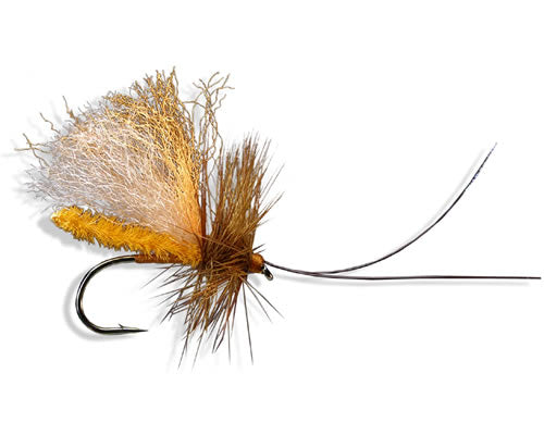 Slickwater Caddis - October
#8-10