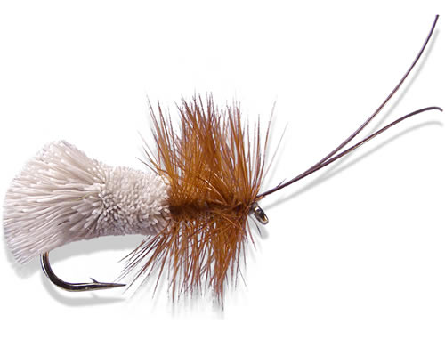 Goddard Caddis