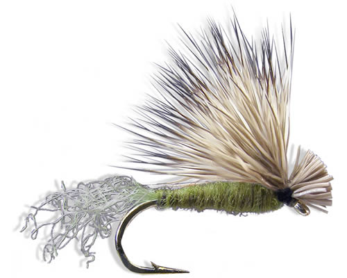 X-Caddis - Olive
#12-18