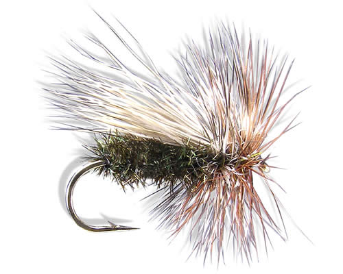 Peacock Caddis
#10-18