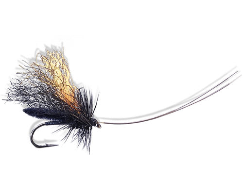 Slickwater Caddis - Black
#14 - #18