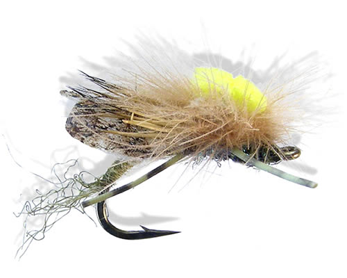 Kyle's HFH Caddis - Olive
#14-16