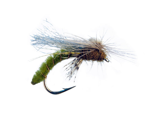 Overley's Spotlight Caddis - Olive