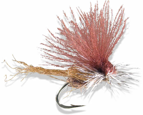 Silverman's Stillborn Caddis - Brown
#14-#16