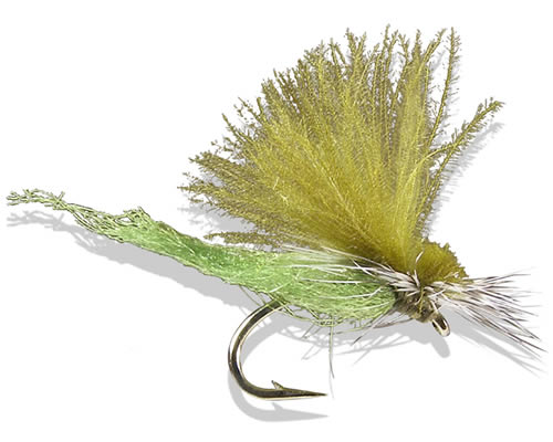 Silverman's Stillborn Caddis - Olive
#14-16