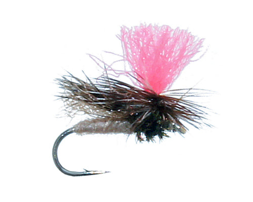 Wike's Finfetcher Caddis - Black