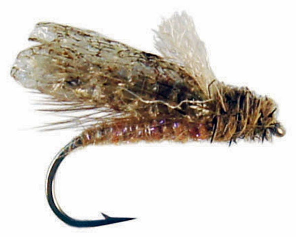 Johnson's RC Caddis UV Cinnamon