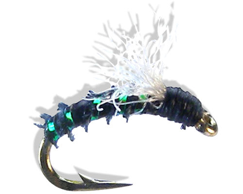 Seren-Stupidy - Black
#16, 18 & 22
