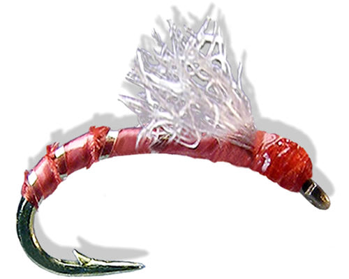 Seren-Stupidy - Red
#16 & 20