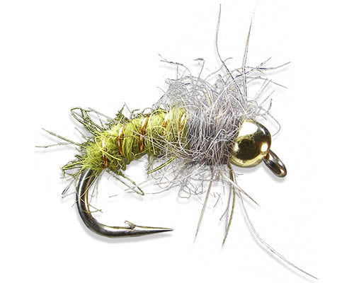BH Caddis Pupa - Olive
#12-18