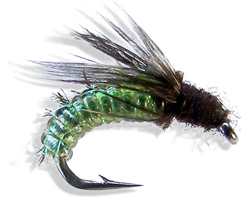 Silverman's Caddis Larva
#12-18
