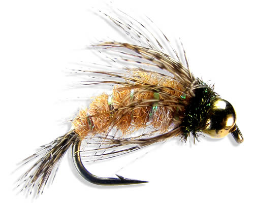 Anderson's Bird of Prey - October Caddis
#6-10