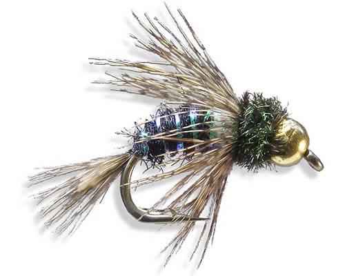 Anderson's Tung Bird of Prey Black
#10