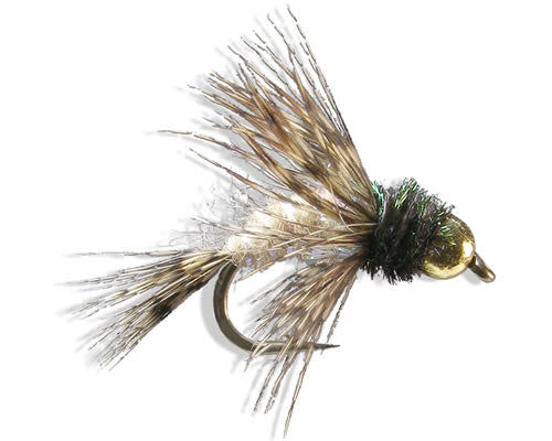 Anderson's Tung Bird of Prey Tan
#6-10